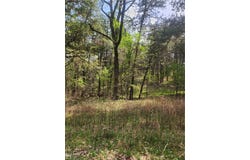 Lakeview lot: 7, Ozark, AR 72847
