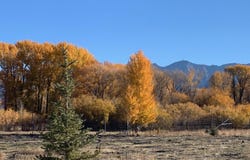 TBD 90.95 Houston Rd, Mackay, ID 83251