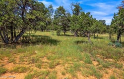 2864 Buck Circle, Overgaard, AZ 85933