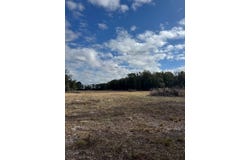 Hwy 349, Old Town, FL 32680
