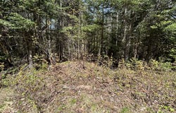 M17/L52-1 Stinchfield Road, Sandy River Plt, ME 04970