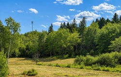 MAP9LOT1B Newman Street, Winter Harbor, ME 04693