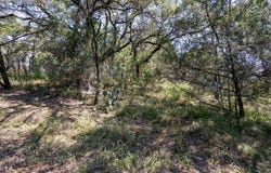 Laurel Ln, Spicewood, TX 78669