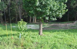 110 Stroud, Elba, AL 36323