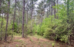 NE Highway 44, Summit, MS 39666