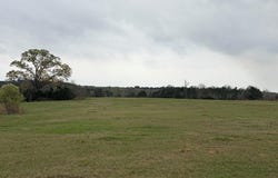 CR 1243, Linden, TX 75563