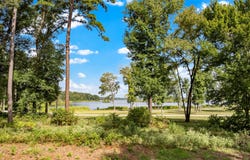 3168 Shadow Pine Drive, Larue, TX 75770