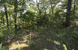 Cliffside Drive lot: 11, Galena, MO 65656