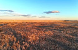 County Road 169, Matheson, CO 80830