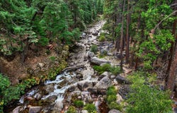 13584 Highway 50, Kyburz, CA 95720