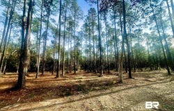 Bay Road, Foley, AL 36535