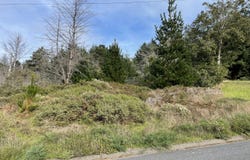 35 Debbie Lane, Whitethorn, CA 95589