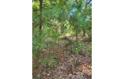 1294 Anders Rd, San Augustine, TX 75972