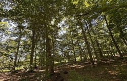 2014 MOUNT EPHRAIM Road, ADAMSTOWN, MD 21710
