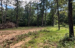 Freedom Road, Winslow, AR 72959