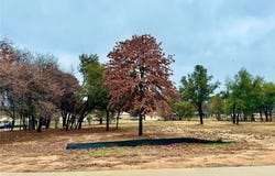 549 Tradition Way, Granbury, TX 76049