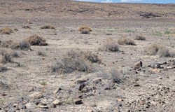APN 01524116, Silver Springs, NV 89429