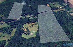 53 ACRES Beason Cove Road, Steele, AL 35987