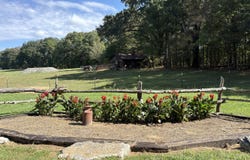 23331 Highway 79, Trafford, AL 35172