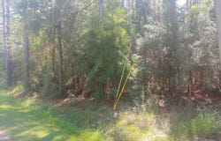 E Newton Street, Bay Saint Louis, MS 39520
