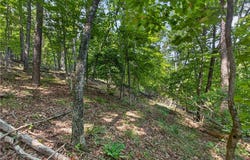 206 Shipmaster Drive, Salem, SC 29676