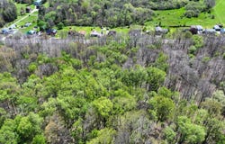 Pomeroys Rd, Windber, PA 15963