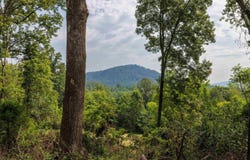 POUNDING BRANCH RD, AFTON, VA 22920