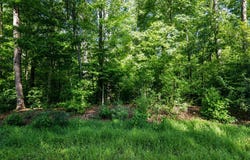 935 OUTER PL, LUSBY, MD 20657