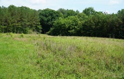 Macedonia Rd, Double Springs, AL 35553