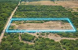 20 acres Cr 421, Christine, TX 78012