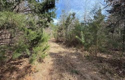 CR 2343 & CR 2339, Douglassville, TX 75560