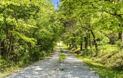 Green Mountain Road lot: 5, Hillsborough, NC 27278