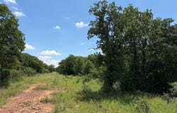 Rux Road, Newcastle, TX 76372