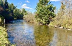 14721 TROWBRIDGE, WOLVERINE, MI 49799