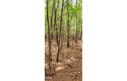 Helena Moriah Road, Timberlake, NC 27583