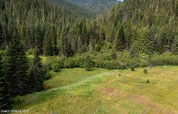 NNA Beaver Creek Rd., Wallace, ID 83873