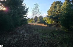 8 VL Betsie River Road, Interlochen, MI 49643