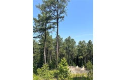 85 Green Apple Trail, Broken Bow, OK 74728