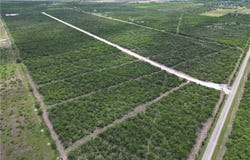 7304 Corrigan Ranch Drive- Tract 1, Skidmore, TX 78389