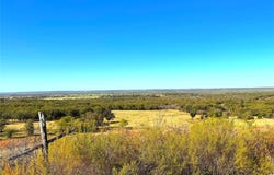 1849 Two Bush Road, Perrin, TX 76486
