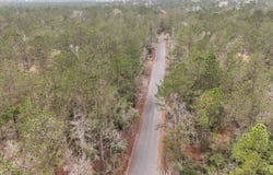 000 Gibson Loop, Starks, LA 70661
