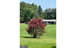 182 FRONT DR, WINCHESTER, VA 22602