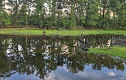 01 Brooklyn Road, Evergreen, AL 36401