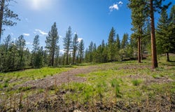 3605 Hubbart Dam Road, Marion, MT 59925