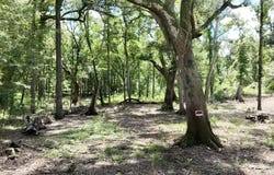 246th Terr, O'Brien, FL 32071