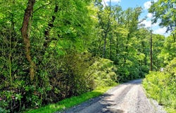 Durham Avenue, Black Mountain, NC 28711