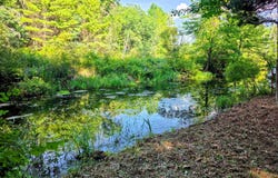 W Wilmas Way, Baldwin, MI 49304