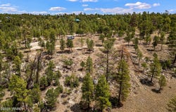 2975 Canary Lane, Heber, AZ 85928