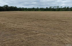 7400 Mcelhaney Rd, Century, FL 32535