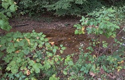 2704 Churn Creek Road lot: 0, Blue Creek, OH 45616
